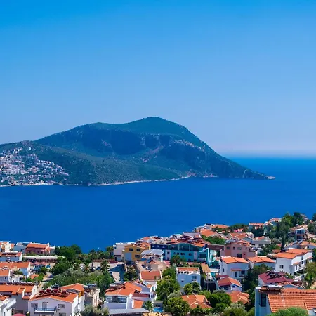 Isabelle * Kalkan